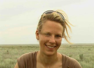 Knautschnasen vor dem Kollaps