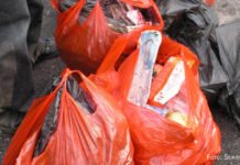 Ein umweltfreundlicher Sonntagsspaziergang