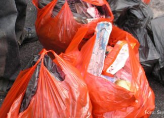 Ein umweltfreundlicher Sonntagsspaziergang