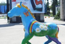 Rätselraten um die Freiheit