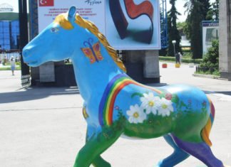 Rätselraten um die Freiheit