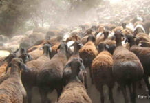 Autobahn über das Dach der Welt