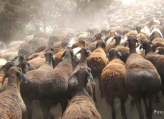 Autobahn über das Dach der Welt
