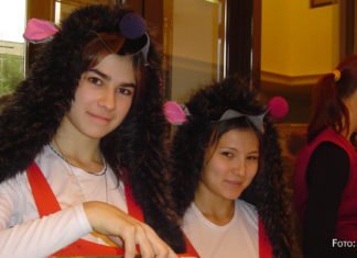 Magnet und Markenzeichen „Made in Germany“