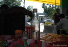 Mein westöstlicher Traum-Diwan