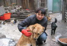 Durchgangsstation Hundeasyl