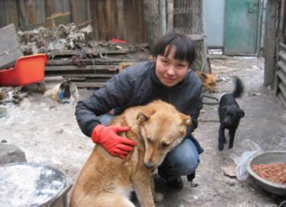 Durchgangsstation Hundeasyl