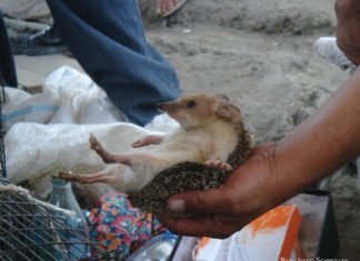 Der Tag, an dem Doris verschwand
