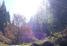 Wanderung zu den Gorelnik-Seen