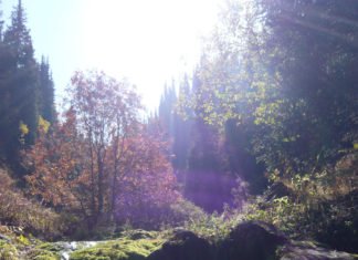 Wanderung zu den Gorelnik-Seen