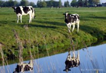 Jühnde – Ein Dorf wird autark