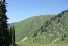 Wanderung zum Mondscheinfeld