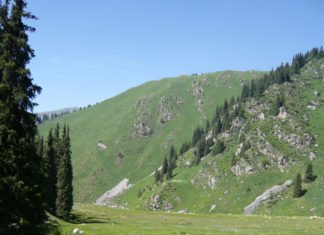 Wanderung zum Mondscheinfeld