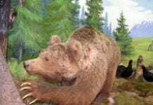 Naturschutzbemühungen im Talgar-Tal