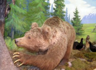 Naturschutzbemühungen im Talgar-Tal