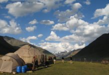 Pechvogel fällt Murmeltier zum Opfer