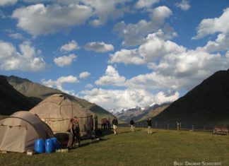 Pechvogel fällt Murmeltier zum Opfer