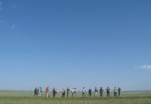 Zugvögel locken Ornithologen ins Weltnaturerbe-Gebiet