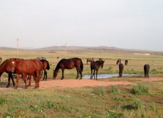 Zeit und Zeitlichkeit