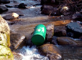 Wasser – Lebensspendend oder tödlich