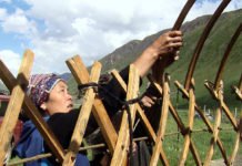 Almauftrieb im Tienschan