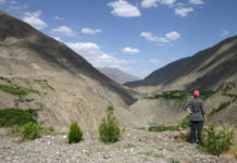 Zu Gast bei Freunden