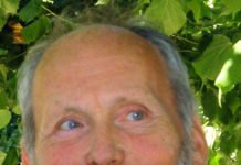 „Die EU – ein zahnloser Tiger”