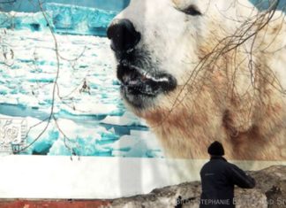 8. Internationales MitOst-Festival