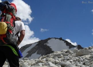 Von Achterknoten und Waldchampignons