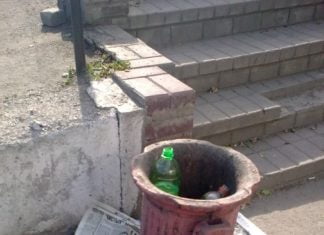 Die Natur bittet um Hilfe