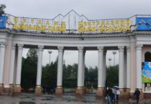 Umfrage zu Café.de: Gespräche und Informationsaustausch