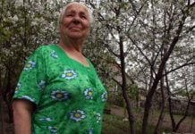 Keine Heimat, nirgendwo