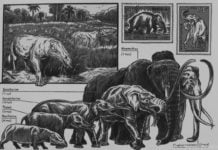 Die Revolution der Sprechblase