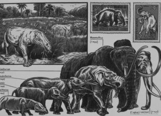 Die Revolution der Sprechblase