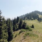 Saftige gr&uuml;ne Bergwiesen auf dem Kok-Zhaljau begeistern die Wanderer.