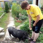 Familienschwein Tschunja wird von Olga Petrowna Schneider liebevoll umgarnt.