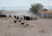 Zelinny – dörfliche Lebenswelten