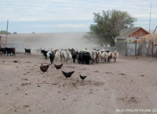 Zelinny – dörfliche Lebenswelten