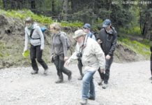 Im Reich des Wachtelkönigs