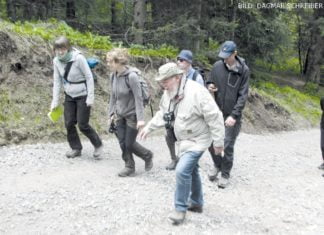 Im Reich des Wachtelkönigs