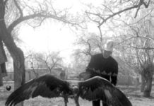 Steinadlerjagd: ein nationaler Sport