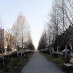 Fu&szlig;g&auml;ngeralle mitten in der Hauptstra&szlig;e.