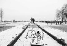 Gesichter aus einer anderen Welt