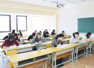 Das Erfolgsrezept der Sprachbegabten