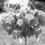 Aus Plastikflaschen können Tulpen entstehen. | Bild: Projekt “ETO-Dvor“