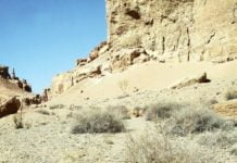 Die kasachischen „Grand Canyons“