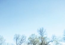 Almaty für Pferdeliebhaber