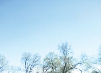 Almaty für Pferdeliebhaber