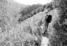 Kasachstan muss attraktiver werden