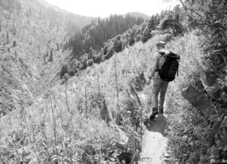 Kasachstan muss attraktiver werden